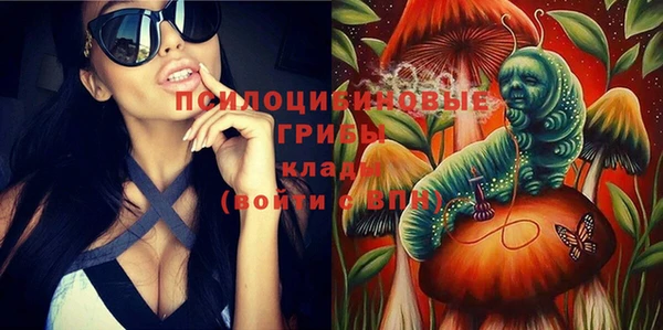мяу мяу мука Кодинск