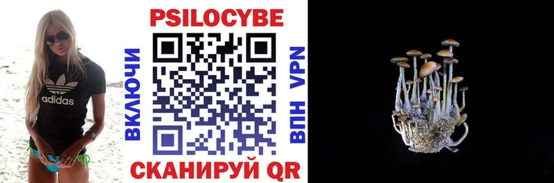Купить где  Кыштым  Псилоцибиновые грибы GOLDEN TEACHER 